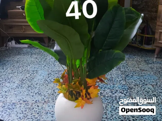 زرع اصطناعي للزينه