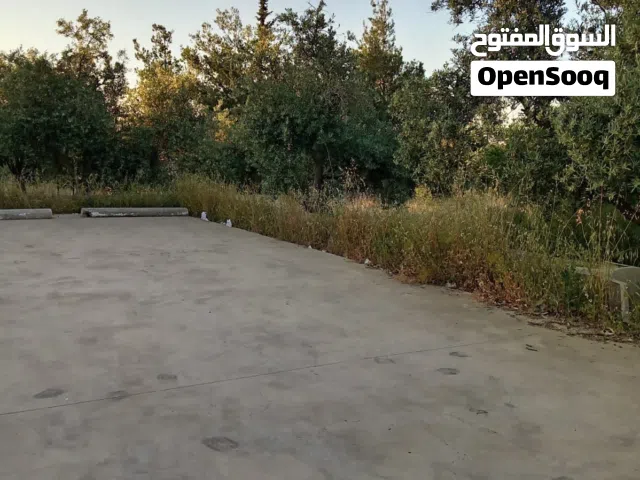 ارض للبيع في عمان ناعور