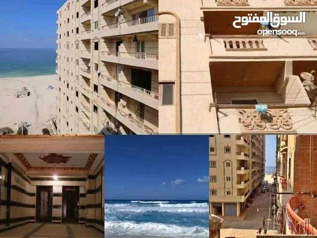 60m2 1 Bedroom Apartments for Sale in Alexandria Agami