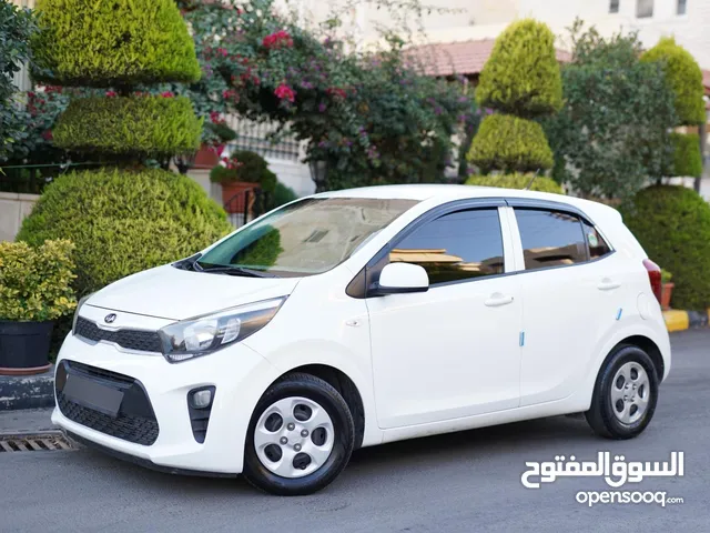 Used Kia Picanto in Amman