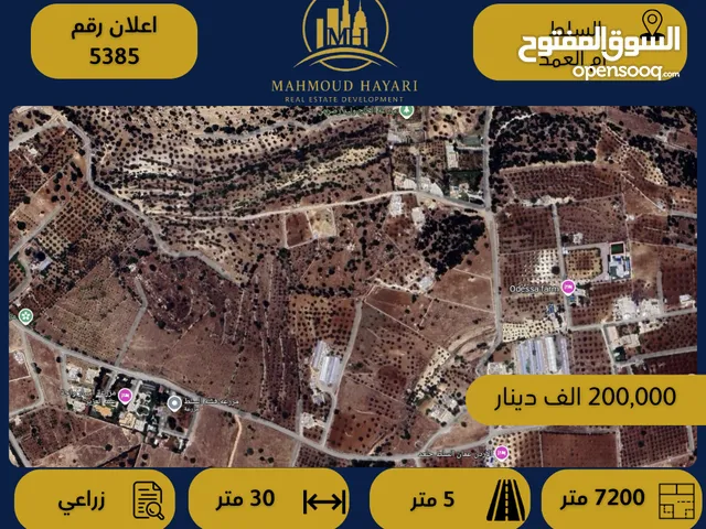 رقم الإعلان: (5385) أرض زراعية مميزة للبيع – أم العمد / السلط