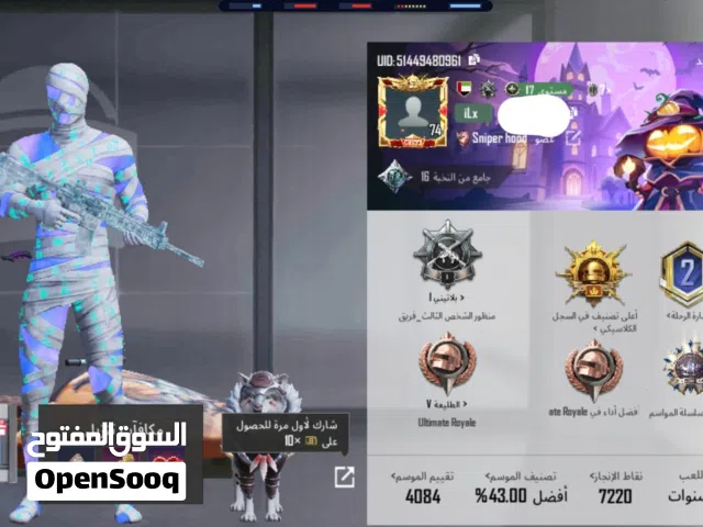 Pubg Accounts and Characters for Sale in Sharjah