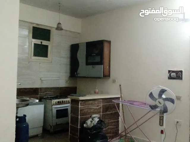 70 m2 Studio Apartments for Rent in Cairo Maadi