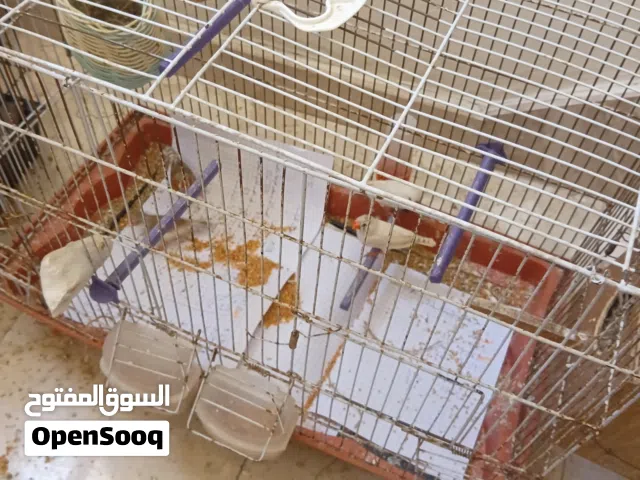 اقرأ الوصف