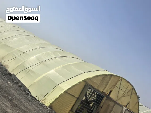 بيوت محميه عدد 2