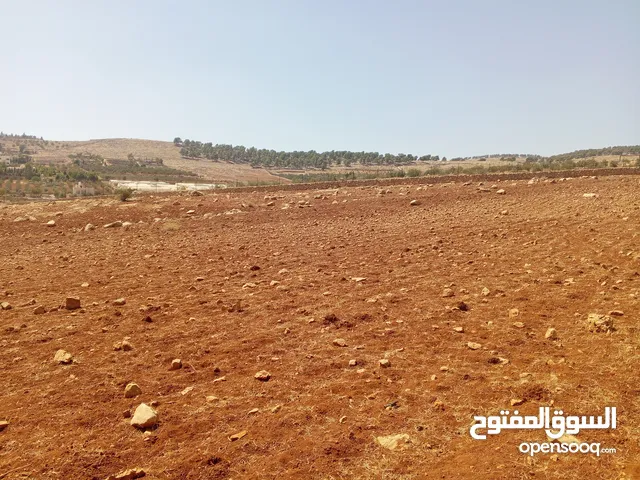 Mixed Use Land for Sale in Jerash Other
