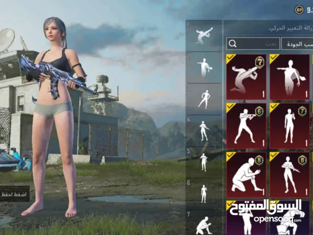 Pubg Accounts and Characters for Sale in Irbid