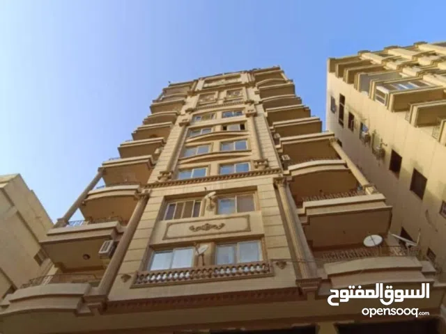 فيصل الرئيسي شقه مفروشه