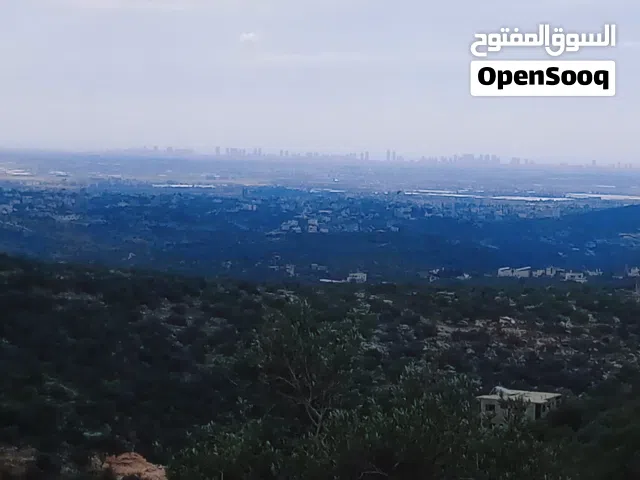 Commercial Land for Sale in Tulkarm Bal'a