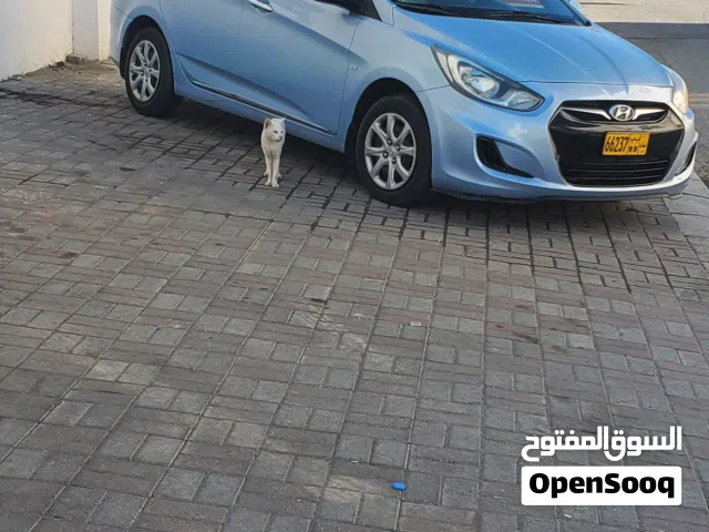 سائق خاص بسيارة حديثة (اكسنت) لتوصيل الموظفين والعوائل والمشاوير الخاصة