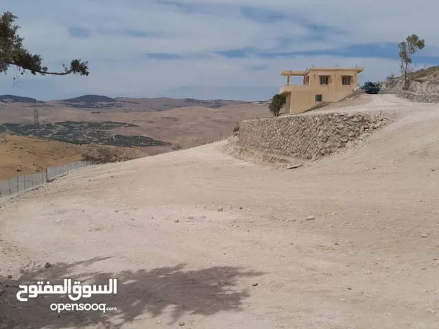 Farm Land for Sale in Zarqa Al-Alouk