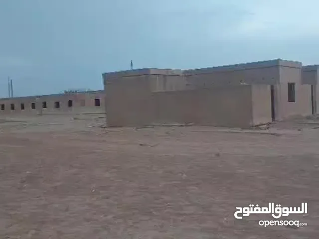 Farm Land for Sale in Djelfa Other