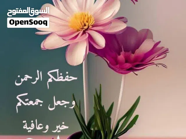 ارض سكنيه موقع مميز