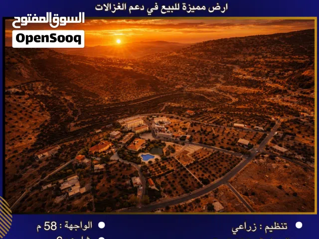 Farm Land for Sale in Salt Other