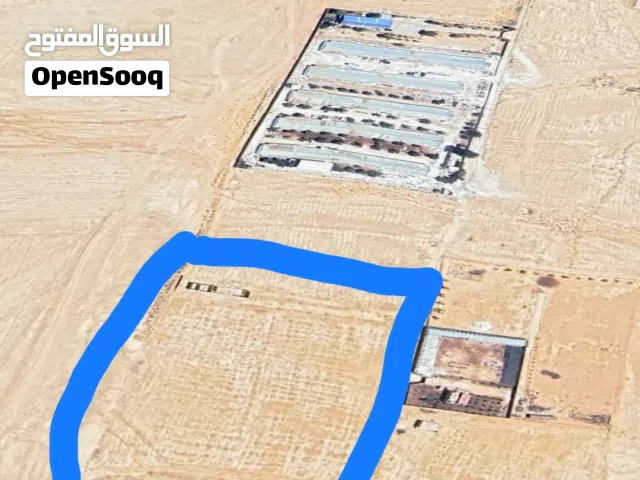 Farm Land for Sale in Zarqa Qasr al-Hallabat Al-Sharqi