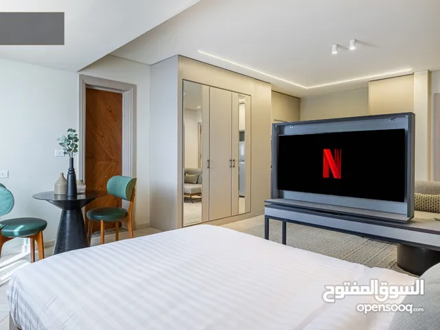 للايجار اليومى ستوديو مفروش فندقى بالشيخ زايد بموقع مميز ( السعر يومى) زد بارك zed park