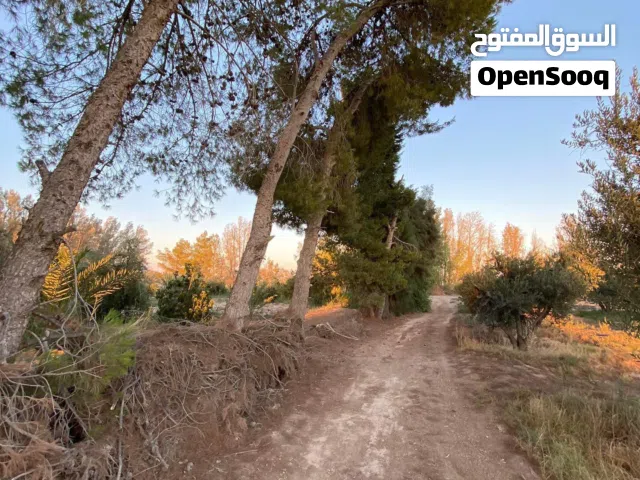 Farm Land for Sale in Zarqa Azraq