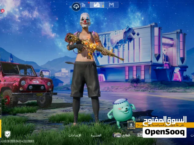 Pubg Accounts and Characters for Sale in Sohag