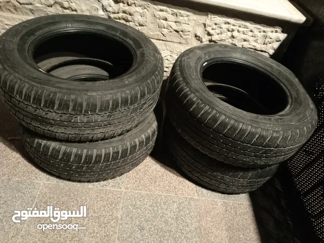 Bridgestone Other Tyres in Amman