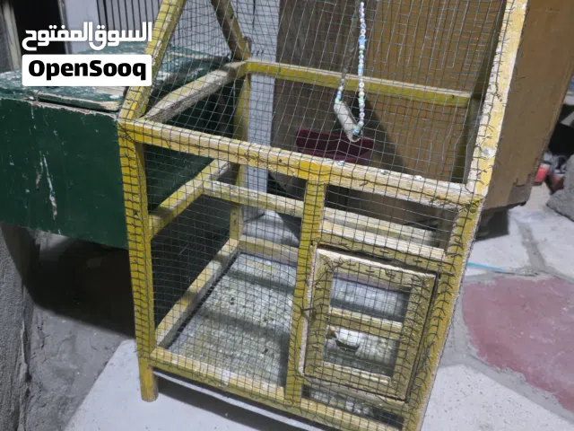 قفص نضيف مع ملحقاته