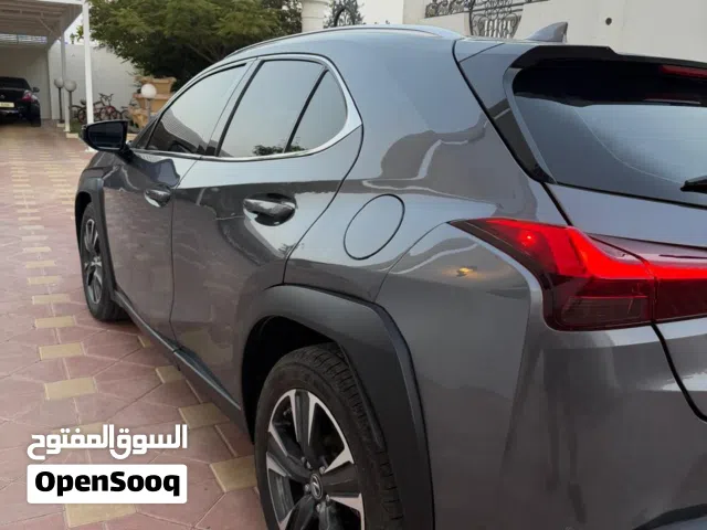 2020 Lexus UX UX 300h