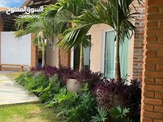 مزارع  حدائق وبستنة والإشراف على النبات