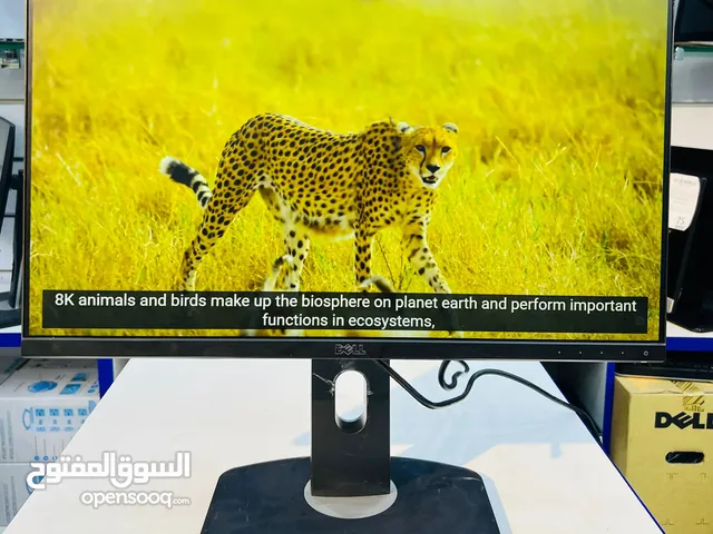 Dell Monitor 24" – Sleek Display with Crisp Visuals