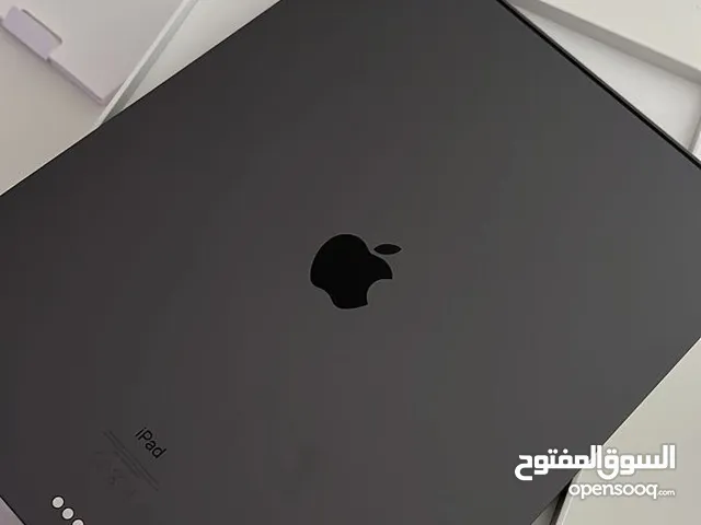 iPad Pro 12.9 inch 512G M2 2023 Wi-Fi +Cellular