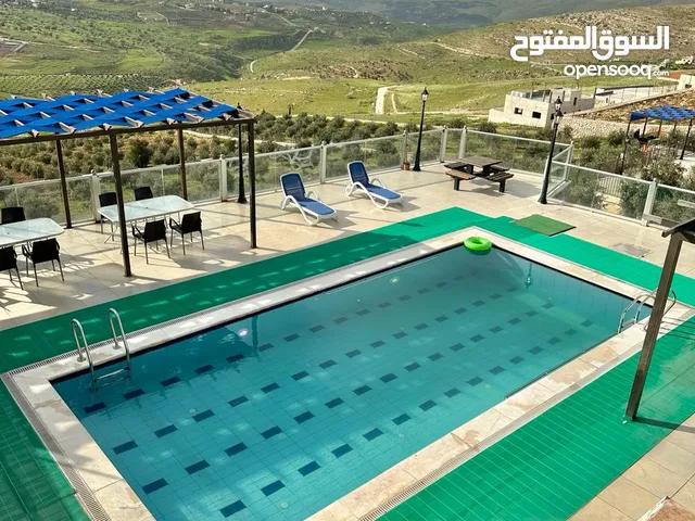 4 Bedrooms Chalet for Rent in Zarqa Birayn