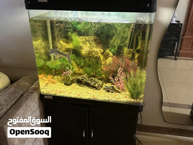 Aquarium with fishes