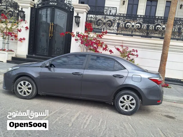 2019 Toyota Corolla GLI