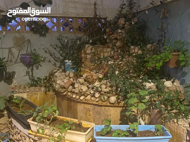بيت للايجار