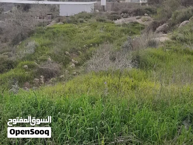 ارض قريبه ع الفندق واماتين واصل مي كهربا شارع زفته