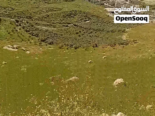 ارض للبيع بموقع مميز اطلاله جميله واصل كافه الخدمات