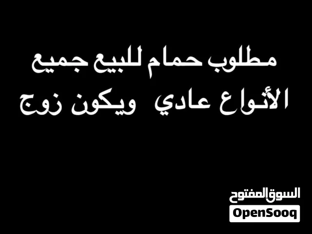 حمام للبيع