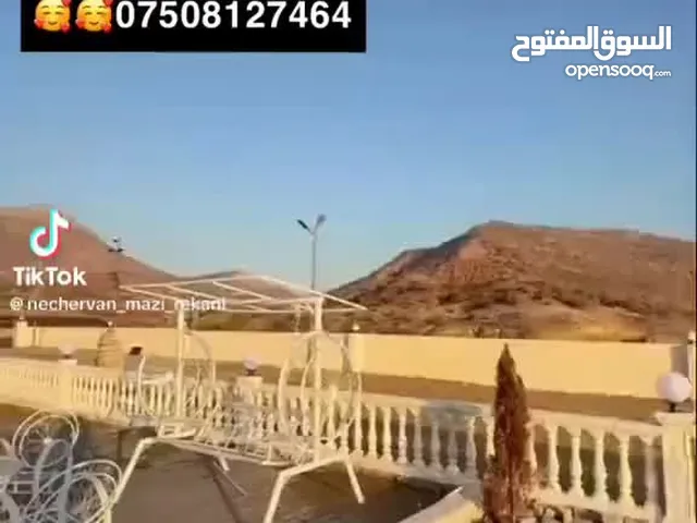 مه زرعه بيع بل دهوك