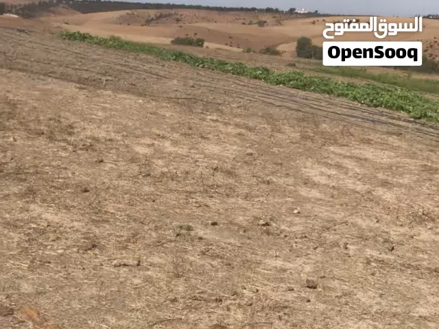 Mixed Use Land for Sale in Rabat Other