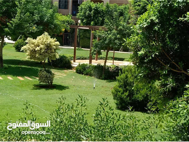 130m2 3 Bedrooms Apartments for Rent in Cairo Fifth Settlement