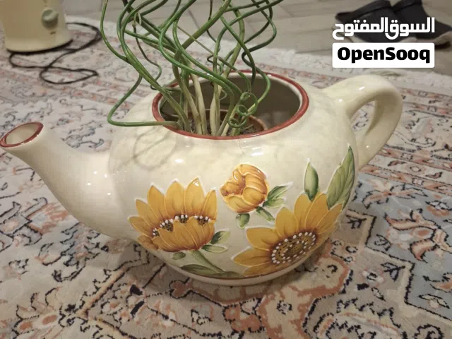 pot for plant