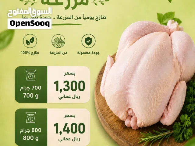 متوفر دجاج طارج ذبح يومي