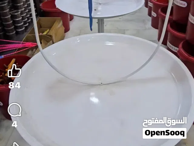 ستاند ببغاء جديد