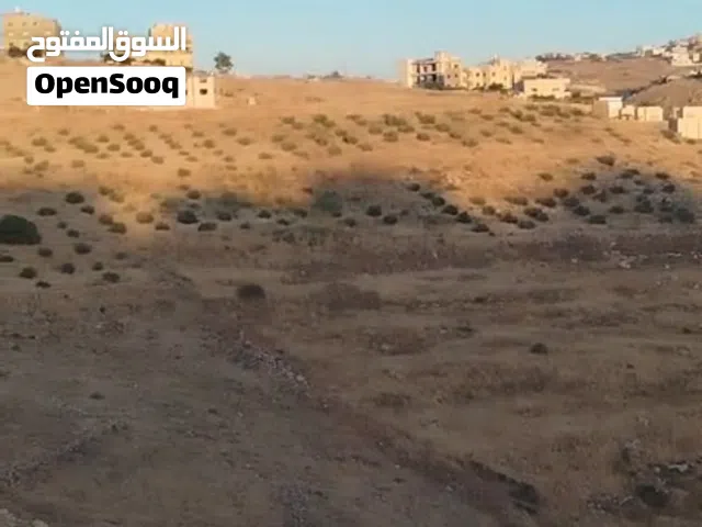 Residential Land for Sale in Amman Al Bayader