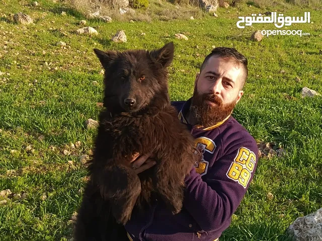 جيرمن رويال بلاك