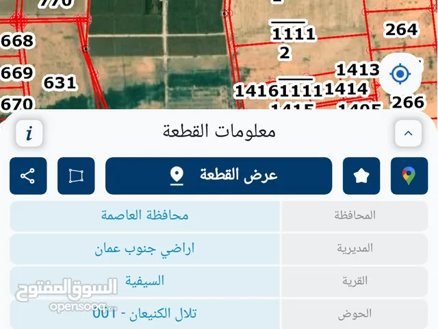 Farm Land for Sale in Amman Areinba Al Sharqiyah