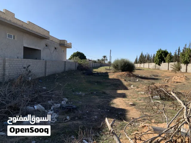 عقار .. قطعة ارض بواجهة تجارية علي الطريق وبحجم 3000 متر من المالك .ومتعددة الاستخدامات وعملية وفرصة