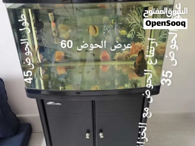 للبيع عالسوم حوض مع الخزانة وسمكة وفلتر خارجي-مستعمل