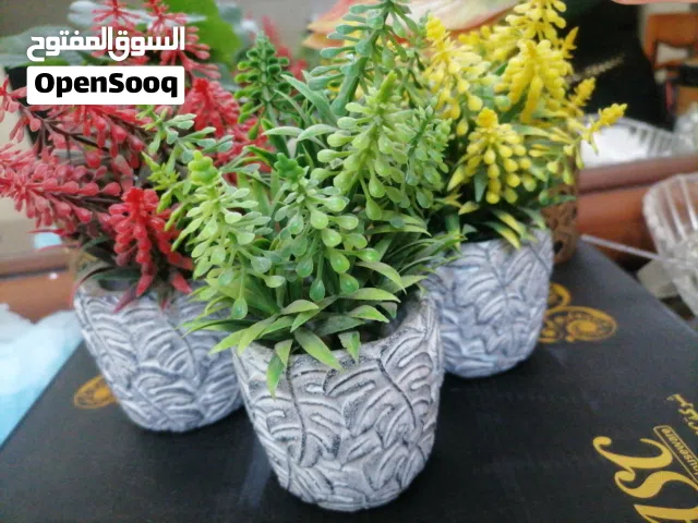 قوارات نبات صناعي عدد 3 كلهم