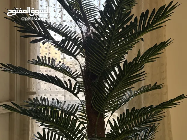 زرع صناعي جديد