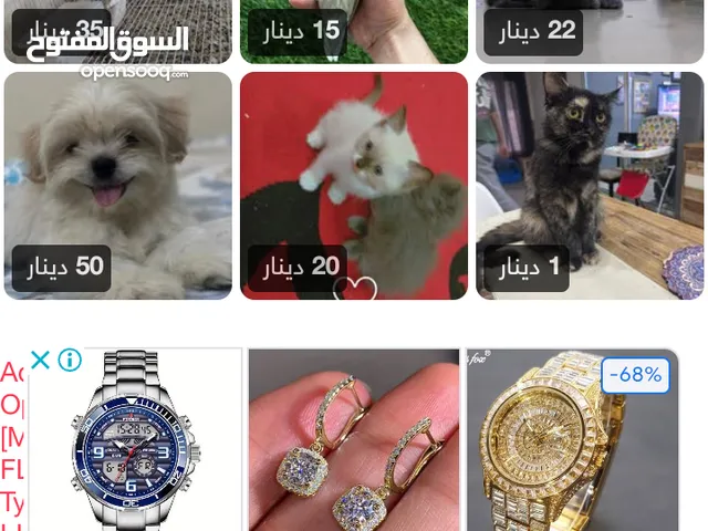 طعام حيوانات