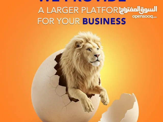 reach marketing